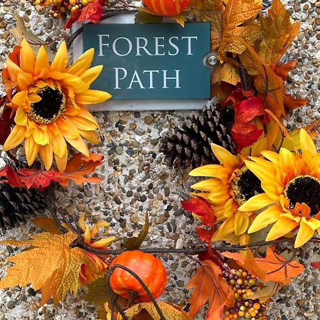 Forest Path Luxury Studio Apartment With Large Bedroom Bathroom And Sauna Sleeps Up To 4 Ballynahinch Εξωτερικό φωτογραφία