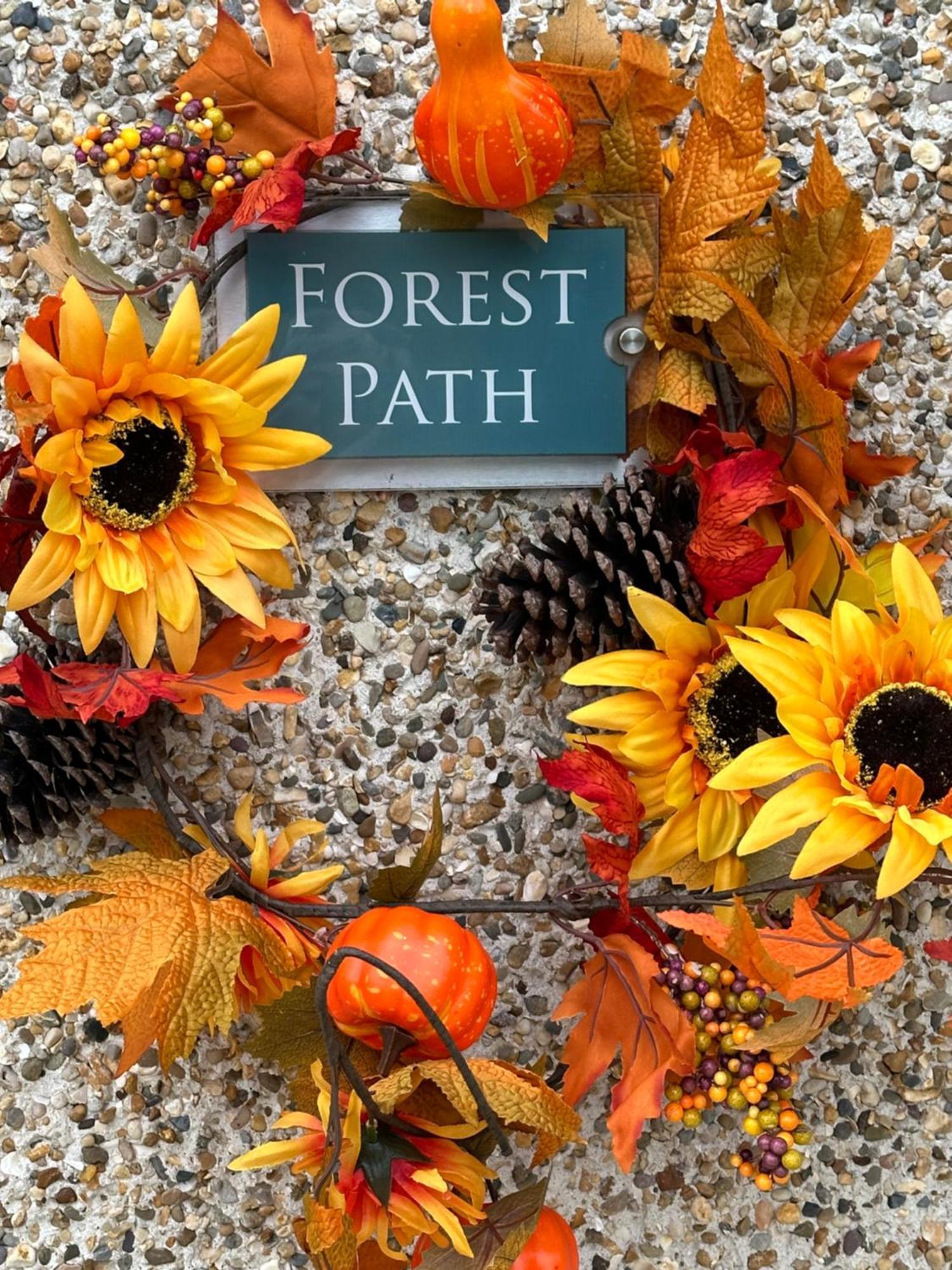 Forest Path Luxury Studio Apartment With Large Bedroom Bathroom And Sauna Sleeps Up To 4 Ballynahinch Εξωτερικό φωτογραφία